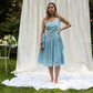 Blue Wrap Dress