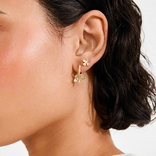 Ajani Earrings 2 in 1 - Gold