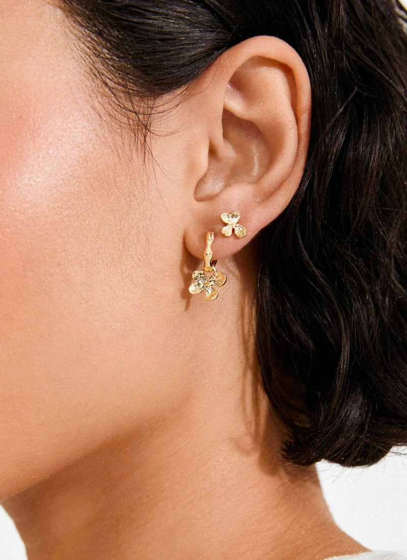 Ajani Earrings 2 in 1 - Gold