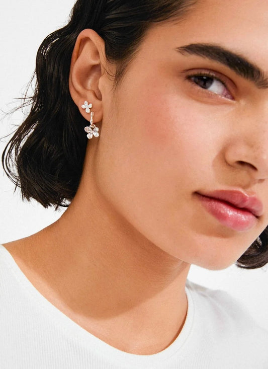 Ajani Earrings 2 in 1 - Silver